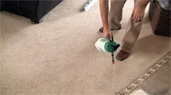 pet odor removal treatment el paso